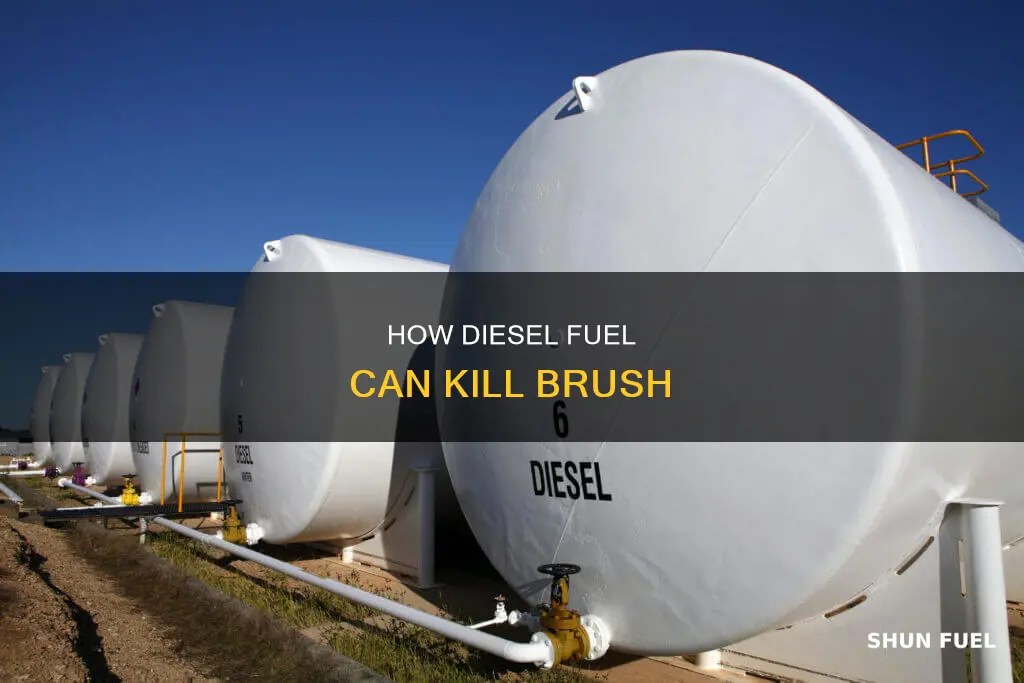will diesel fuel kill brush