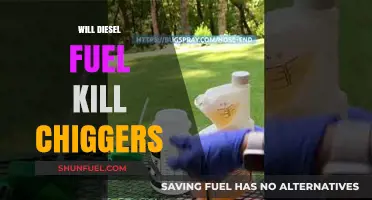 Destroying Chiggers with Diesel: Effective or Not?