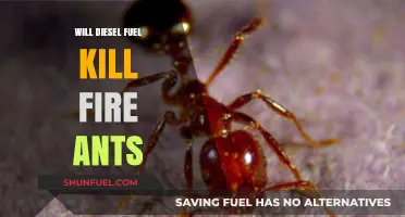 Destroy Fire Ants with Diesel Fuel