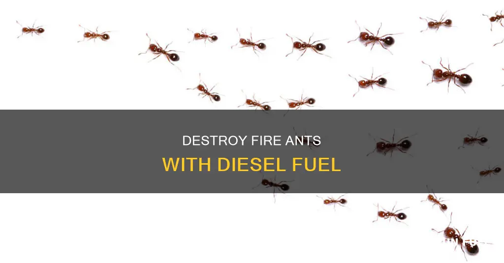 will diesel fuel kill fire ants