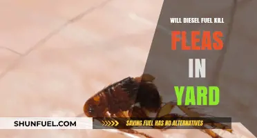 Using Diesel Fuel to Kill Fleas in Your Yard