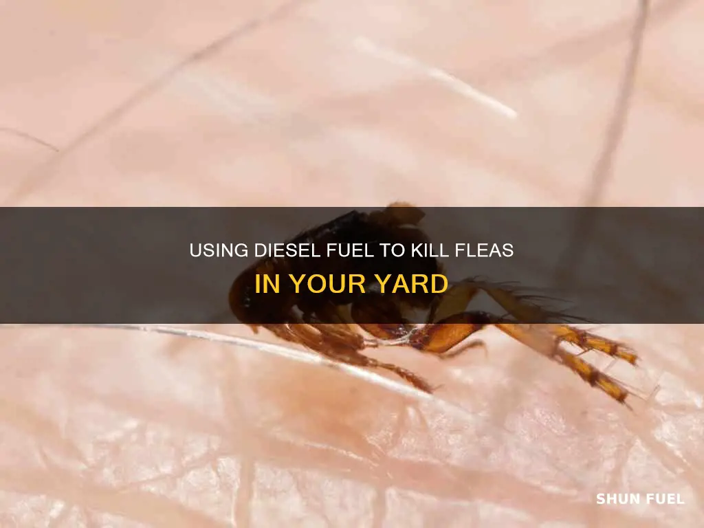 will diesel fuel kill fleas in yard