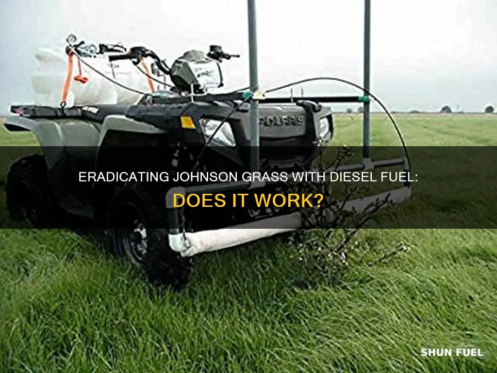 will diesel fuel kill johnson grass