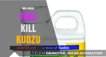 Eradicating Kudzu with Diesel: A Viable Solution?