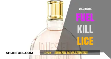 Killing Lice with Diesel Fuel: Effective or Not?