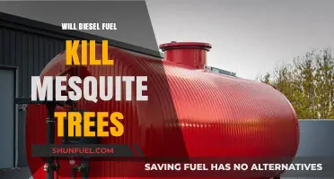 How Diesel Fuel Affects Mesquite Trees