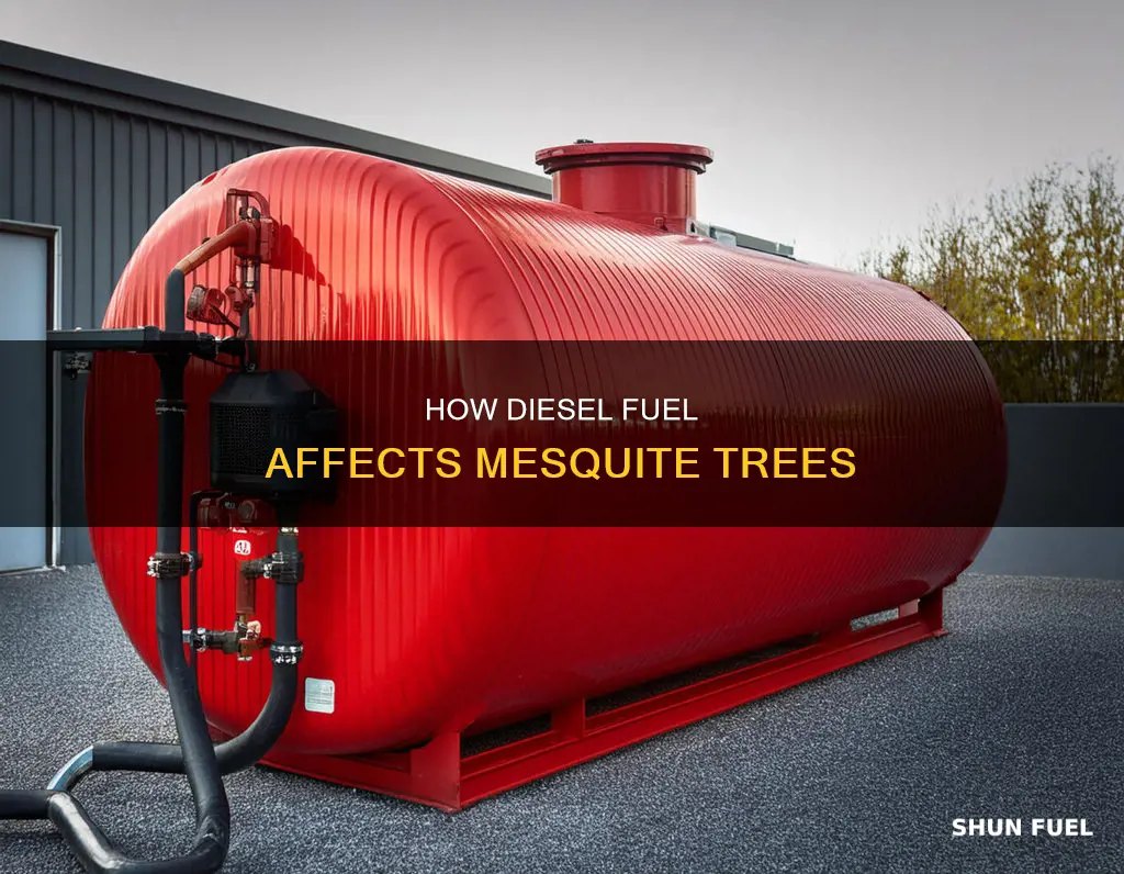 will diesel fuel kill mesquite trees