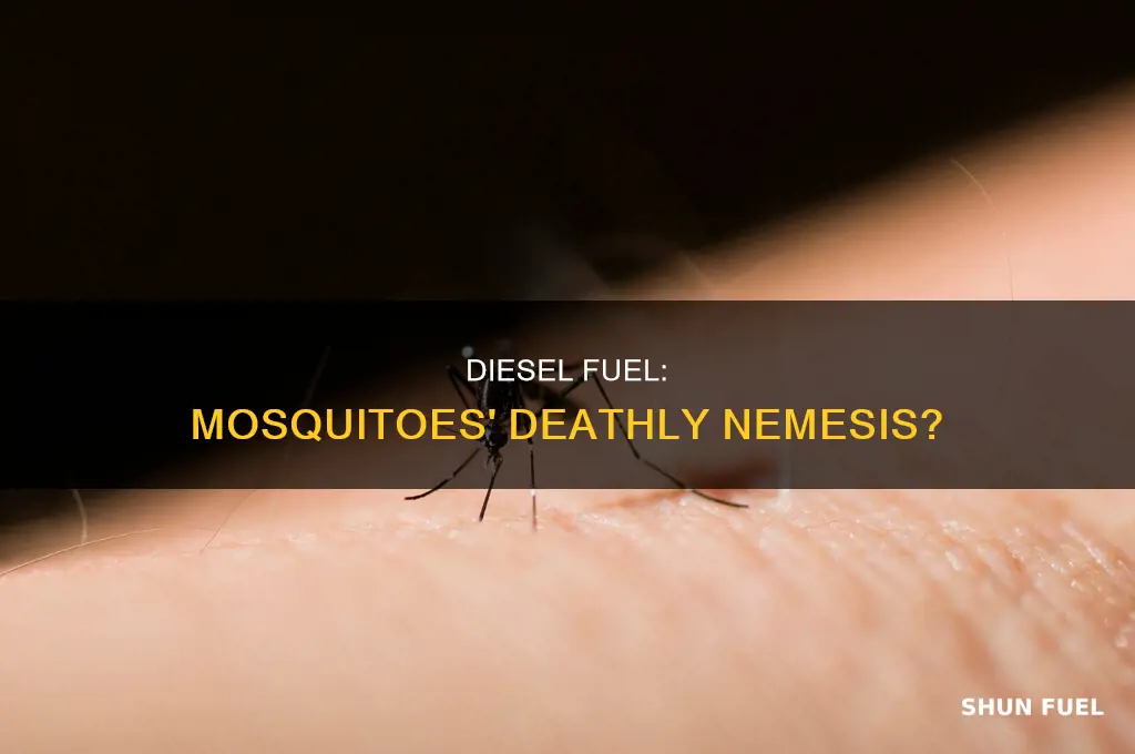 will diesel fuel kill mosquitoes