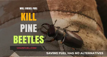 How Diesel Fuel Can Kill Pine Beetles