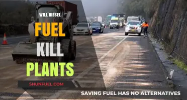 How Diesel Fuel Affects Plant Growth and Viability