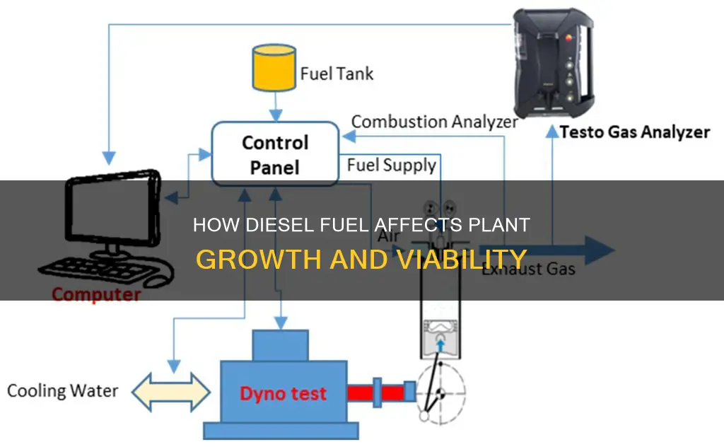 will diesel fuel kill plants