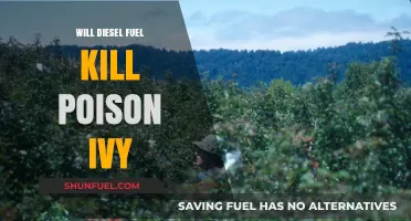 Poison Ivy Problems? Try Diesel Fuel