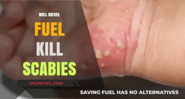 Can Diesel Fuel Kill Scabies?