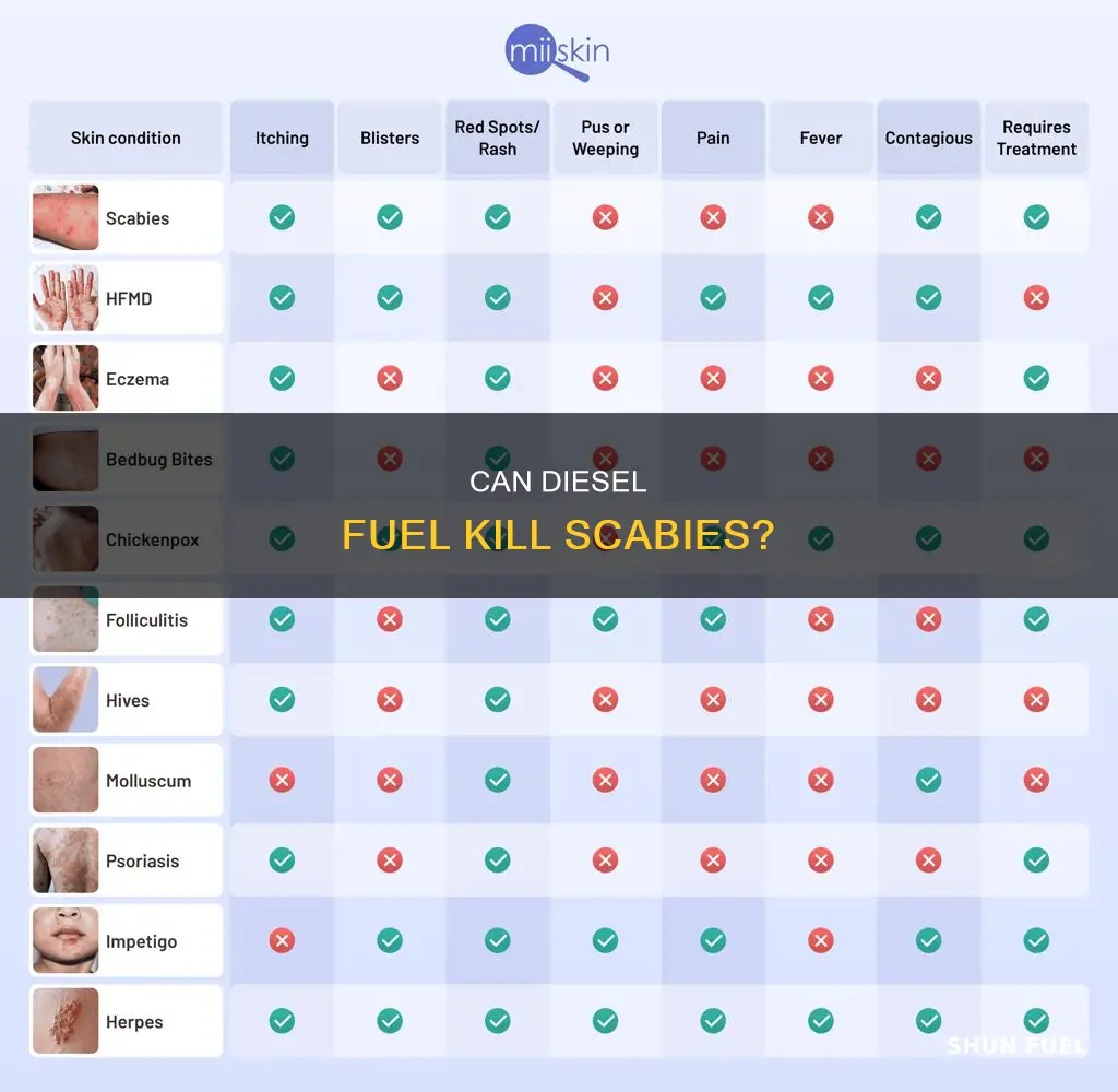 will diesel fuel kill scabies