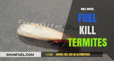 Termites and Diesel: A Deadly Combination?
