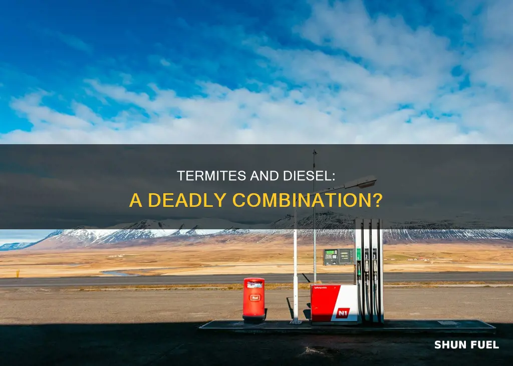 will diesel fuel kill termites