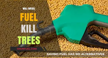 Diesel Fuel: A Lethal Cocktail for Trees?