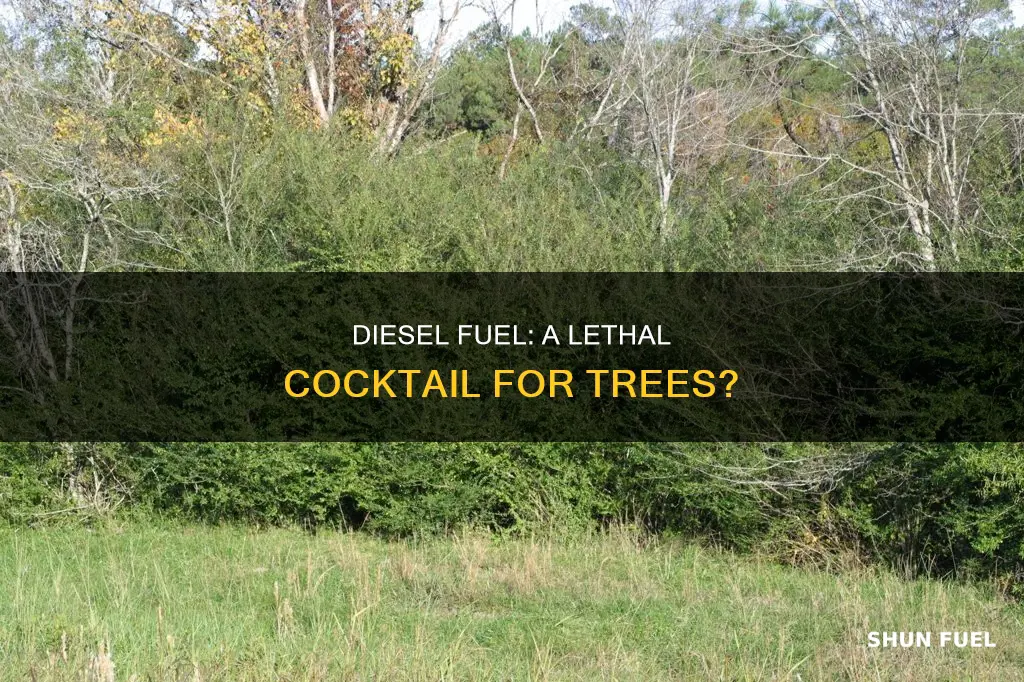 will diesel fuel kill trees