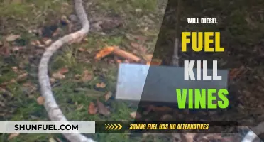 Destroying Vines with Diesel Fuel: Effective or Not?