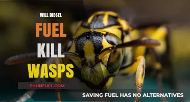 How Diesel Fuel Can Kill Wasps