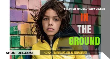 Destroying Yellow Jackets: Diesel Fuel as a Weapon