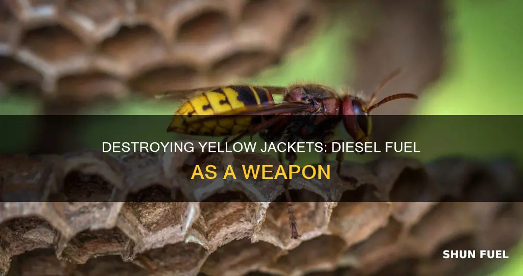 will diesel fuel kill yellow jackets in the ground