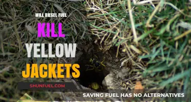 Destroying Yellow Jackets with Diesel Fuel: Is It Effective?