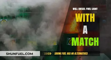 Can Diesel Fuel Light with a Match?