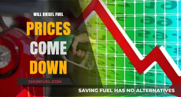 Diesel Prices: Will They Ever Decrease?