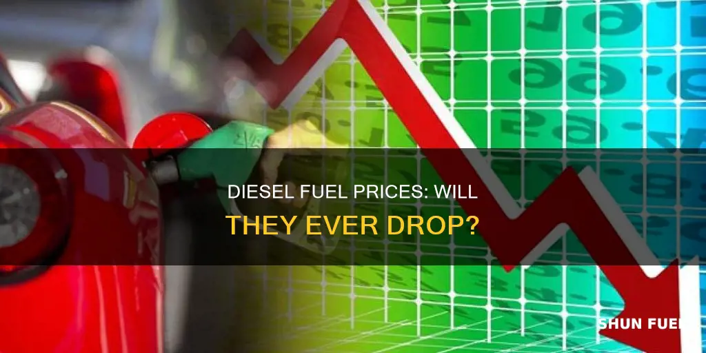 will diesel fuel prices go down