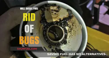 Does Diesel Fuel Repel Insects?