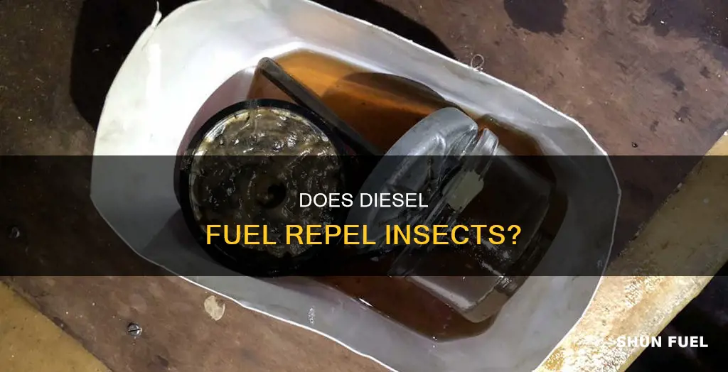 will diesel fuel rid of bugs