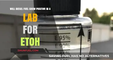 Does Diesel Fuel Test Positive for Alcohol?
