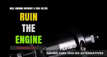 Fuel Filter Absence: Engine Damage or Myth?