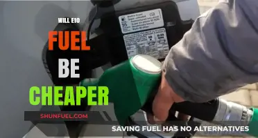 Exploring the Cost Dynamics of E10 Fuel: A Comprehensive Analysis