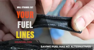 Ethanol's Impact: Fuel Line Concerns and Solutions