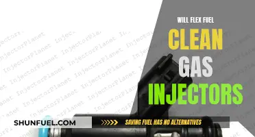 Flex Fuel's Impact: Cleaning Gas Injectors