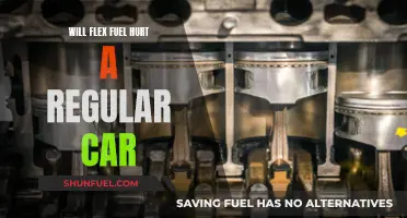 Flex Fuel: Friend or Foe for Your Regular Car?