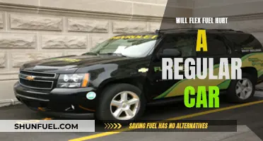 Flex Fuel and Regular Cars: Any Harmful Effects?