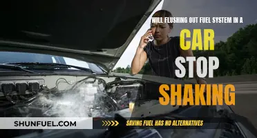 Flushing Fuel Systems: Stop Car Shaking?