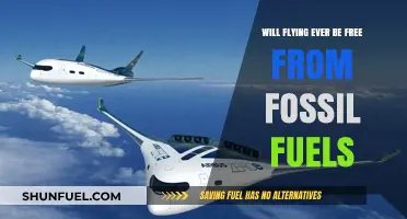 Can Aviation Achieve a Fossil Fuel-Free Future?