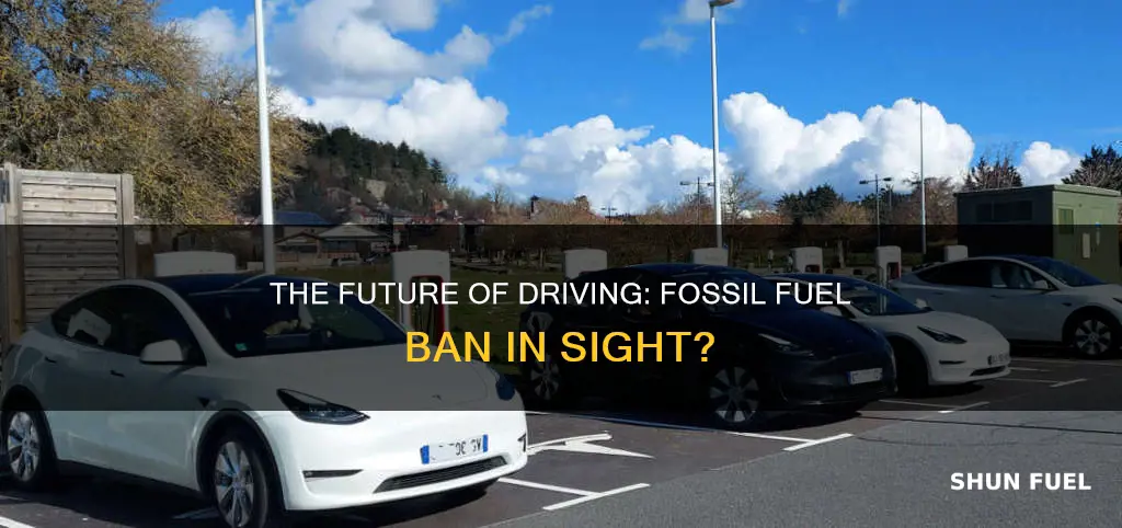 will fossil fuel cars be banned