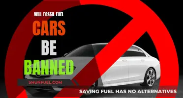 The End of Fossil Fuel Cars: Ban or Phase-out?