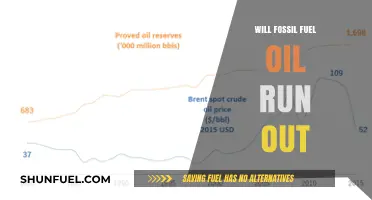 The Looming Question: Will Fossil Fuel Oil Reserves Eventually Deplete?