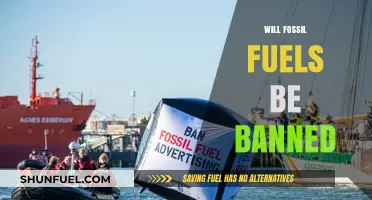 Will Fossil Fuels Face a Global Ban? Exploring the Future of Energy