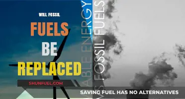 The Future of Energy: Can Renewables Replace Fossil Fuels?