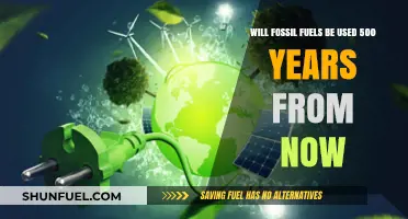 Fossil Fuels' Future: Will They Still Power the World in 500 Years?