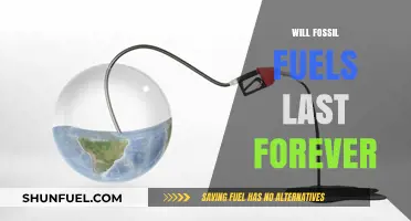 Fossil Fuels' Finite Future: Debunking the Myth of Eternal Energy