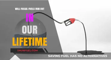 Fossil Fuels Depletion: Will Our Lifetime Mark the End?