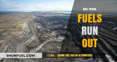 The Inevitable End of Fossil Fuels